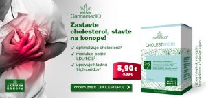 Cholestamizin